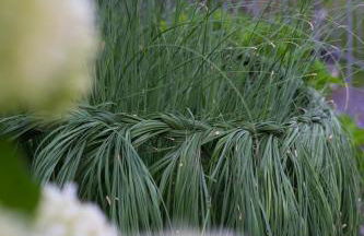 Landhaus Sonnenwinkel - Foto 66