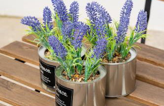 Charm São Mamede - Photo 31