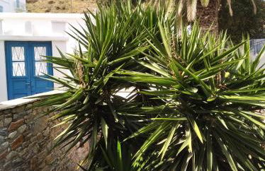 Amorgaia 1 - Foto 10