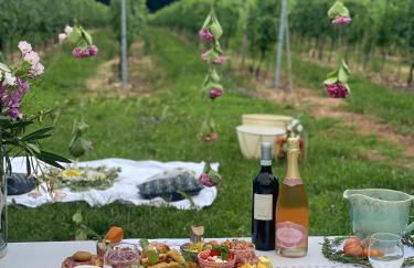 Agriturismo Corte Patrizia - Photo 74