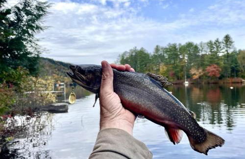 Toms Cabin On Lake Christopher - Foto 45