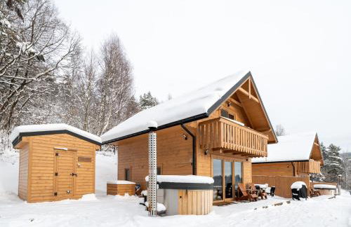 Łysogórska Polana Domki - Foto 1