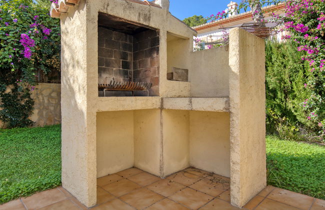 Eucaliptus - Foto 34