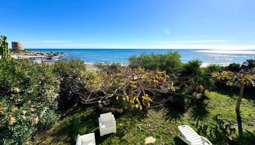 Sunrise Beach House - Foto 2, Garden