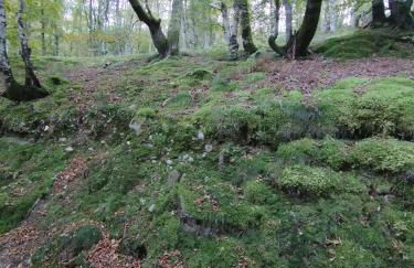 Quirós Villa Tranquila de Salcedo 1 - Foto 18