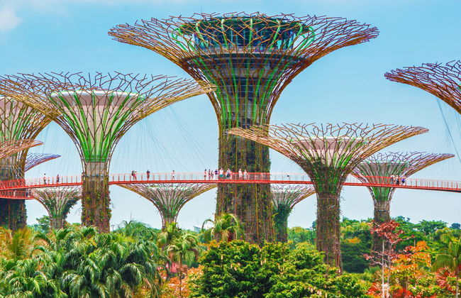 Gardens by the Bay Tickets - Photo 1