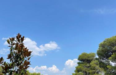 Oleander adria - Foto 2