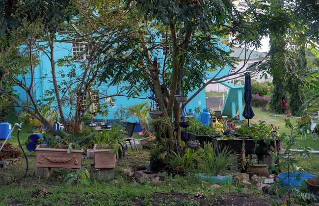 LambLion Holiday Apartments - Photo 60