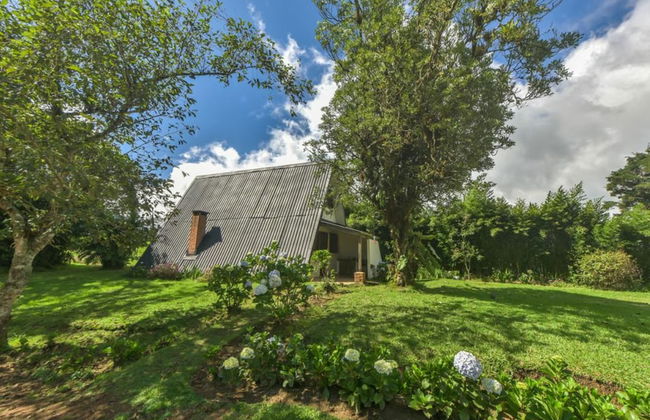 Villa Calas - Foto 52