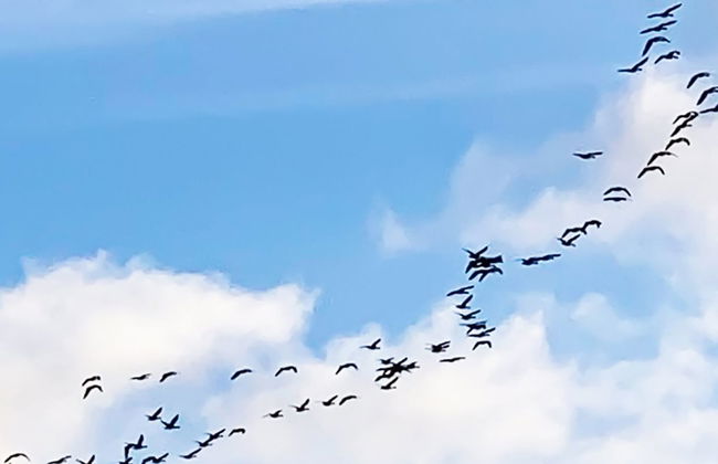 "Stacie" - 10m from the sea - Foto 15