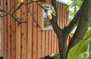 Ferienhaus Max mit Sauna - Photo 37