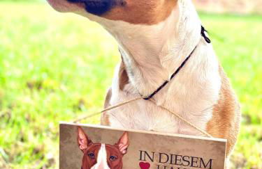 Ferienwohnung auf Pferdehof bei Neustadt - Foto 41