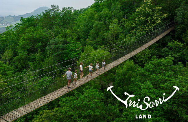 Irrisarri Land - Photo 3