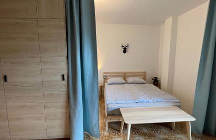 Apartment Ginestra, Sella Nevea - Foto 8