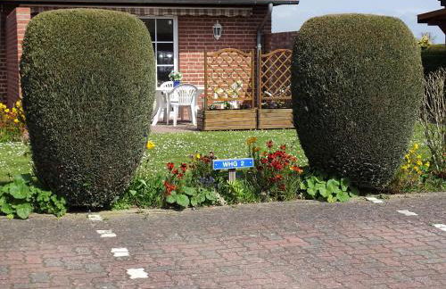 Nachtigall 2 - Foto 14