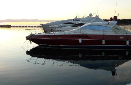 App Sorgo - Photo 51