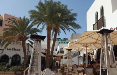 Private Sunny Terrace Studio - Secure Bike or Board Lockup - Foto 24