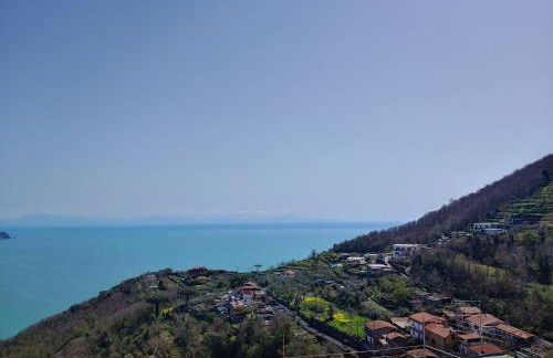 Amalfi Coast, Positano, Sorrento, Capri, Garden, Villa Carcara - Foto 22