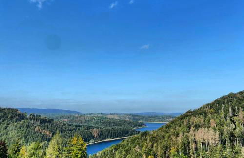 Harzpur Lodge - Pure Entspannung in purer Natur - Foto 5