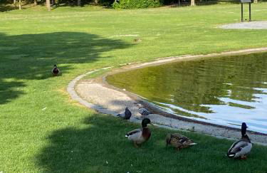 Appartementhof Stadler - Foto 39