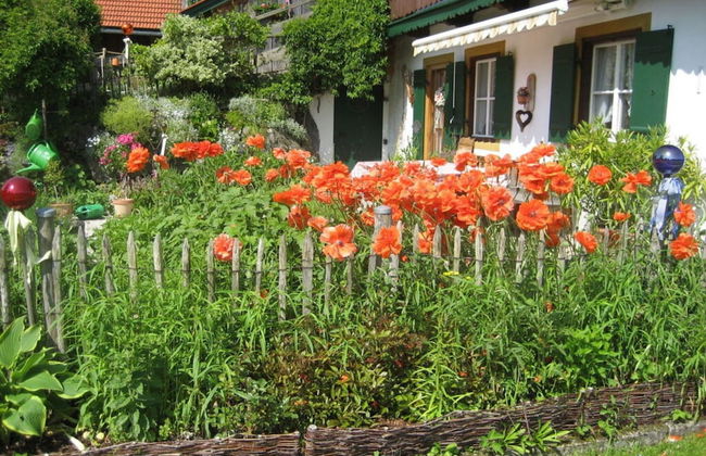 Holiday Apartment Waxenstein - Photo 15