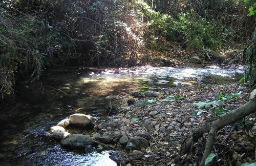 NAPAIMBE Sierra - Foto 16