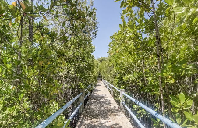 OYO Homes 91148 Homesstay Desa Wisata Bahoi Near Ekowisata Mangrove Desa Bahoi - Photo 26