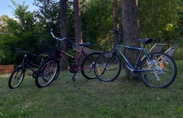 Kajaki wino i śpiew - domek z sauną w otoczeniu lasów i sąsiedztwie zalewu - Foto 12