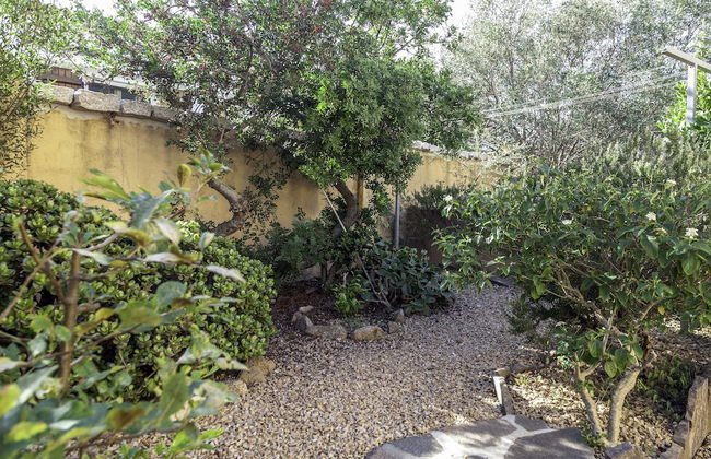 Aria Di Vacanza - Mirtillo COD 9 - Photo 18