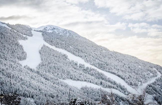 Apartamentos Prat De Les Molleres - Photo 3