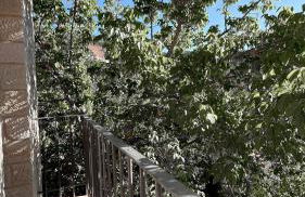 La Casa de la Acacia - Foto 29