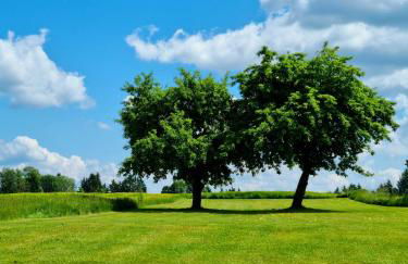 Ferienhaus Ritzmais - Foto 60