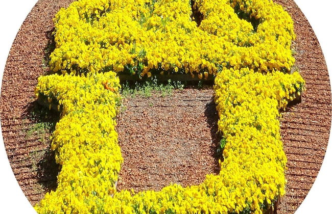 Exclusive 3- Bed Regal Apartment! - Foto 14