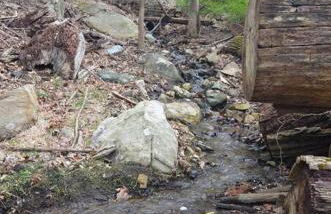 3 Acre Lake Paradise Swimming Pool & Jacuzzi HotTub! - Foto 43