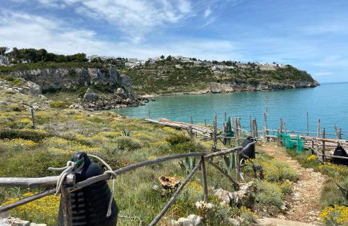 1931 Apartments - Dimora Apulia - Gargano - Foto 13