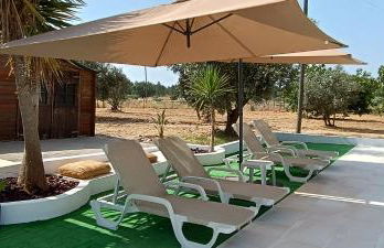 Quinta do Pinheirão - Foto 9