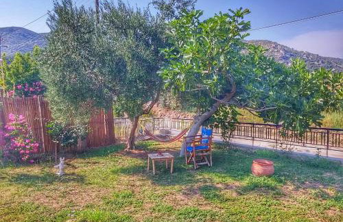 Stavrini's House - Photo 12