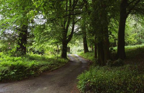 Catchfrench Manor - Foto 46