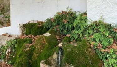 Villa Remedios - Foto 4