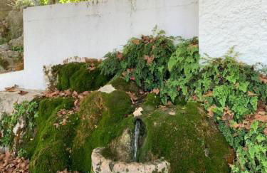 Villa Remedios - Foto 4