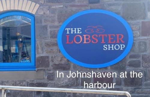 Driftwood - Photo 26