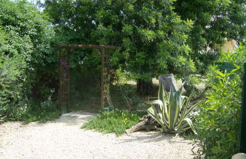 Finca Gamundi - Foto 21