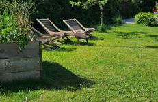 La petite chouette - Photo 7