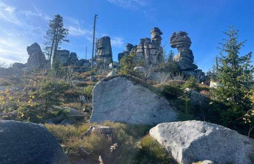 Haidműhle Šumava - Foto 24