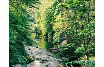 Historic Hideaway in a UNESCO World Heritage Site - Photo 30