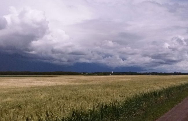 4 Person Holiday Home in Glommen-by Traum - Foto 19