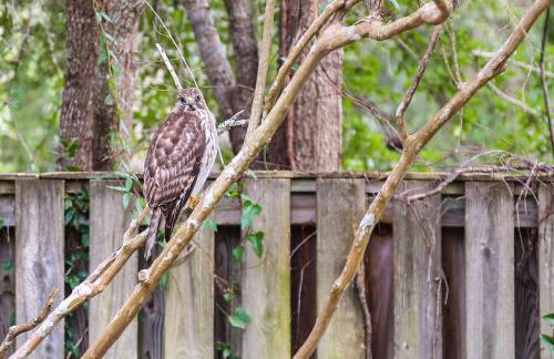 Decked Out - Foto 32