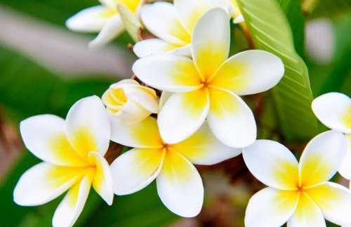 Carissa house in Crete - Foto 41