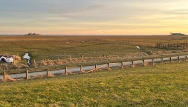 HaRe Ferienwohnungen - Photo 4