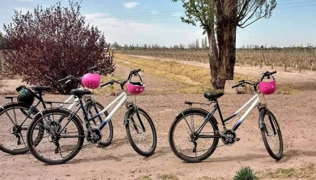 Alquiler de bicicleta en Maipú - Foto 2
